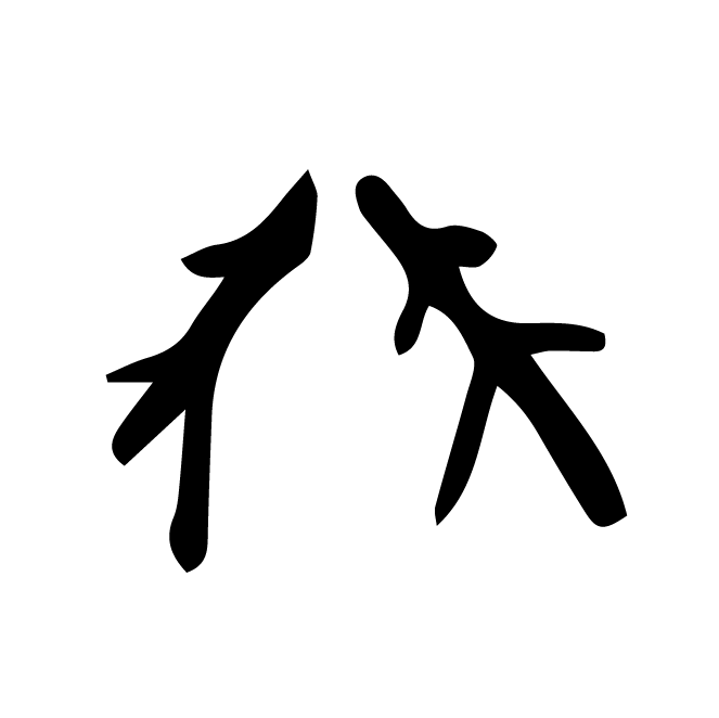 丁再献的骨刻文