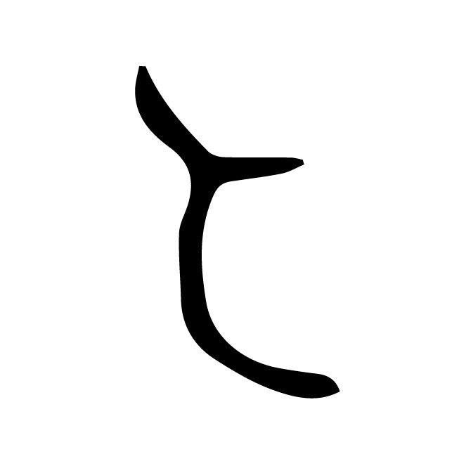 丁再献的骨刻文