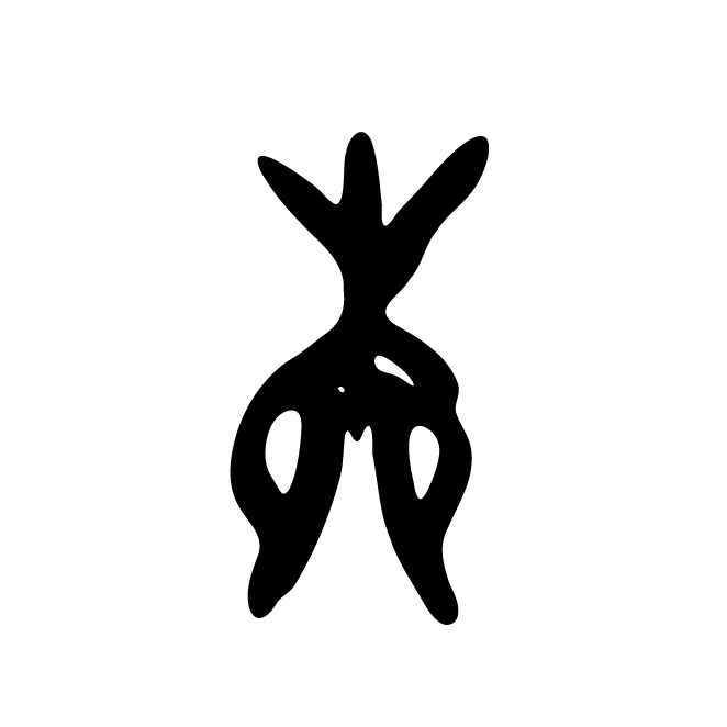 丁再献的骨刻文