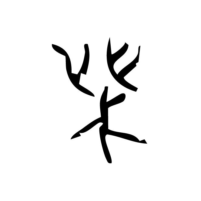 丁再献的骨刻文