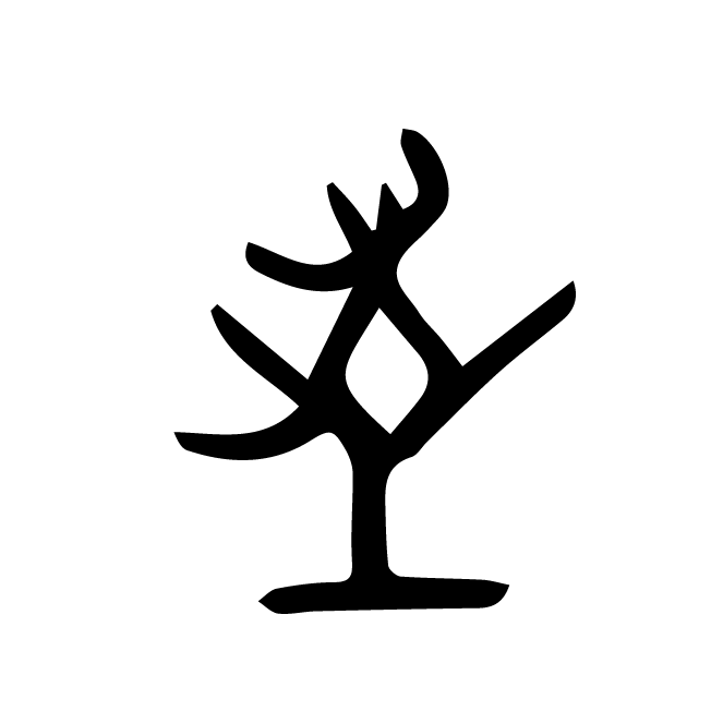 丁再献的骨刻文