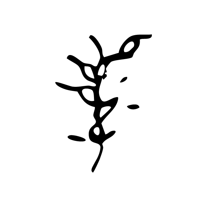 丁再献的骨刻文