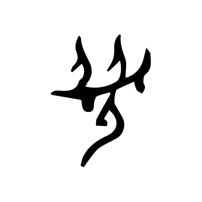 丁再献的骨刻文