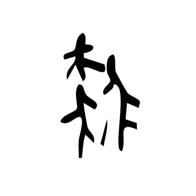 丁再献的骨刻文