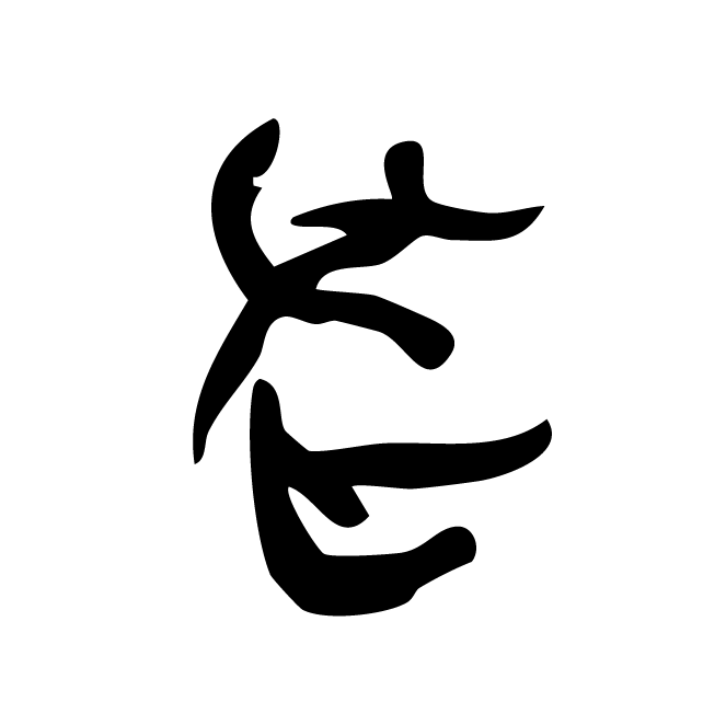 丁再献的骨刻文