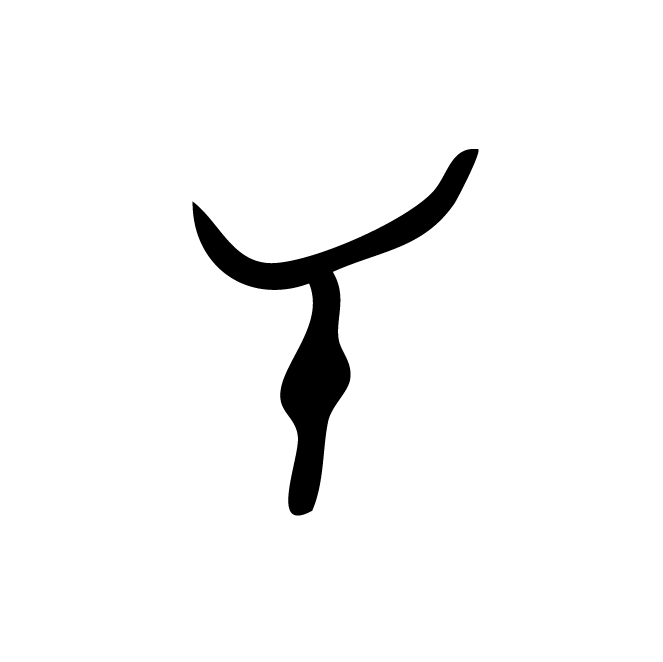 丁再献的骨刻文