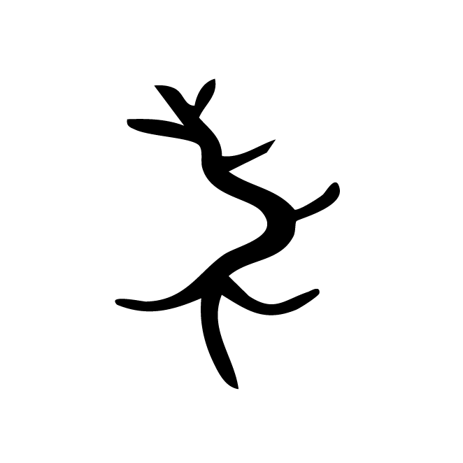 丁再献的骨刻文