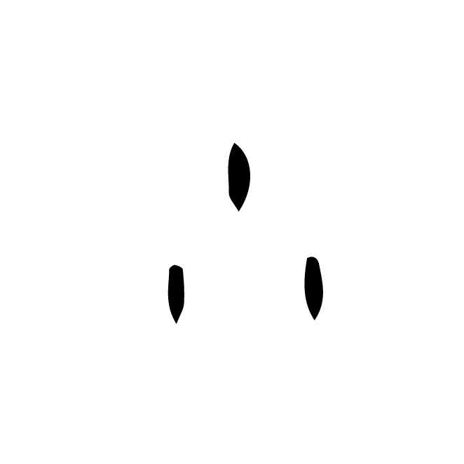 丁再献的金文
