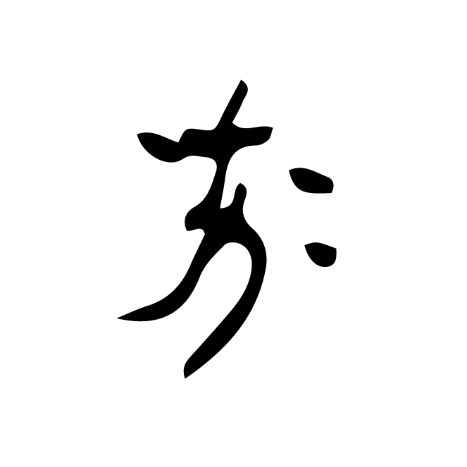 丁再献的骨刻文