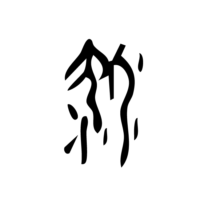 丁再献的骨刻文
