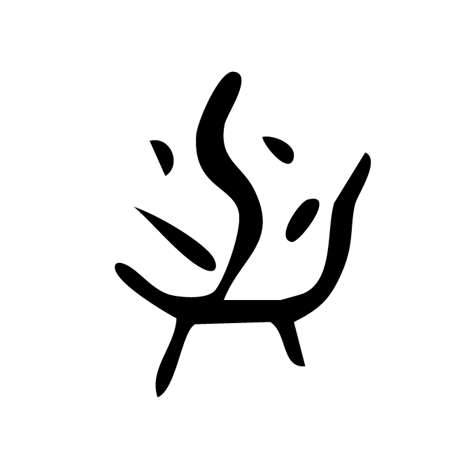 丁再献的骨刻文