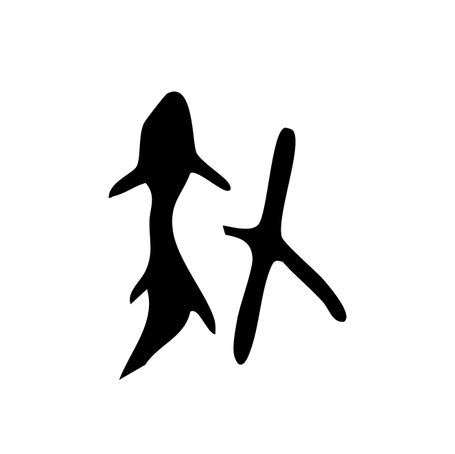 丁再献的骨刻文