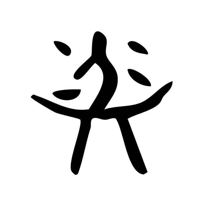 丁再献的骨刻文