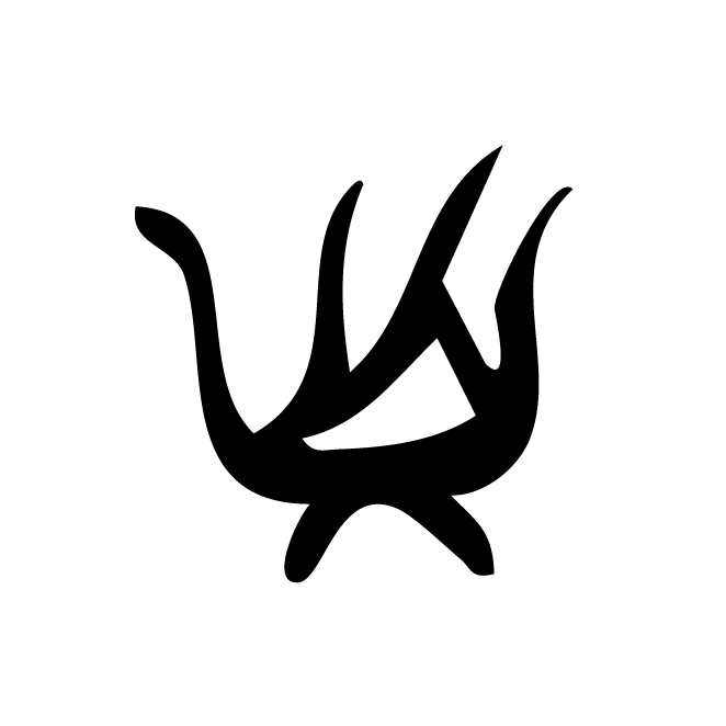丁再献的骨刻文