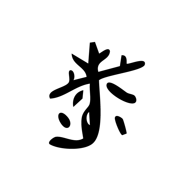 丁再献的骨刻文