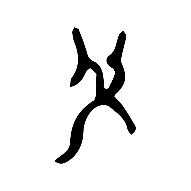 丁再献的骨刻文