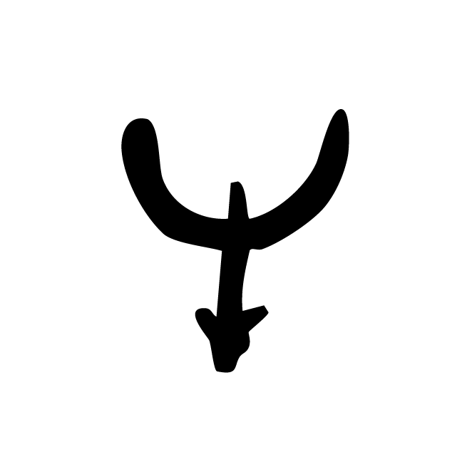 丁再献的骨刻文