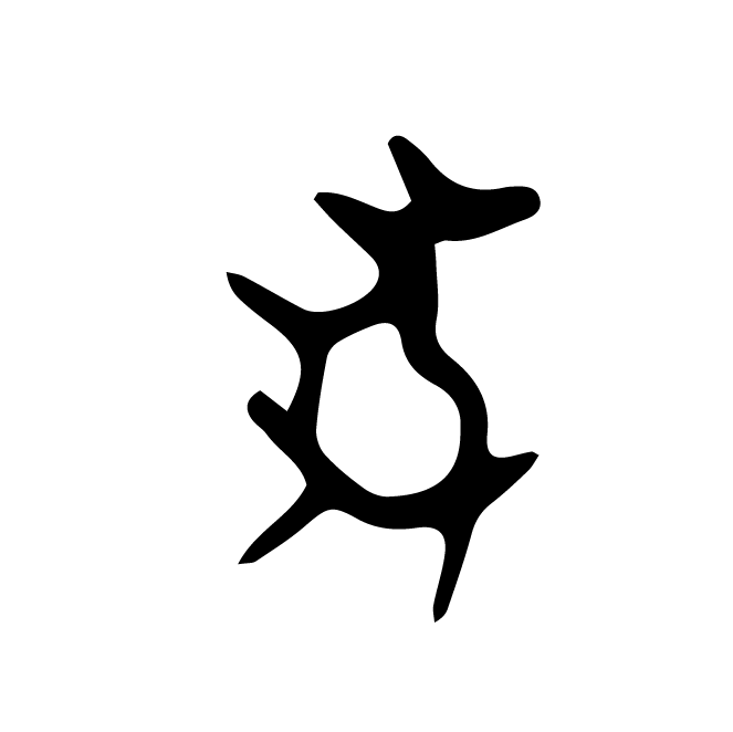 丁再献的骨刻文