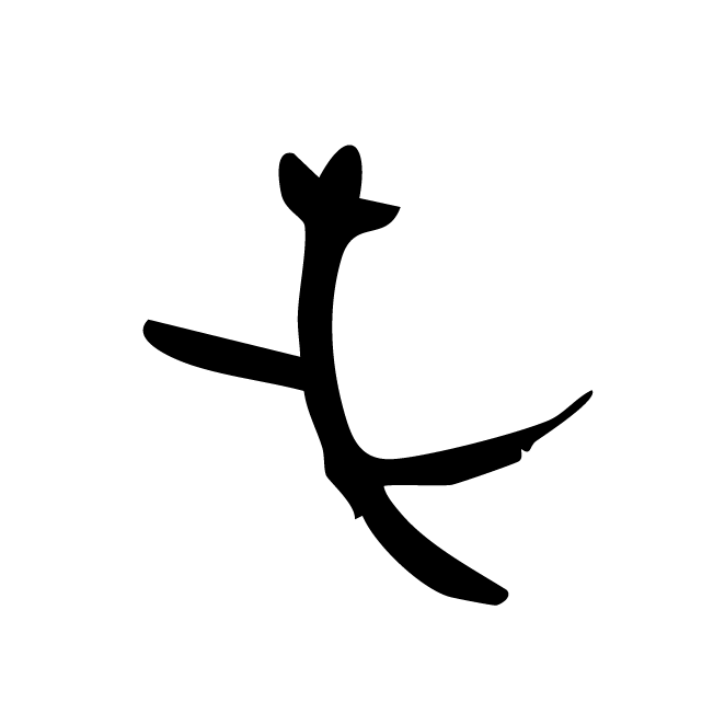 丁再献的骨刻文
