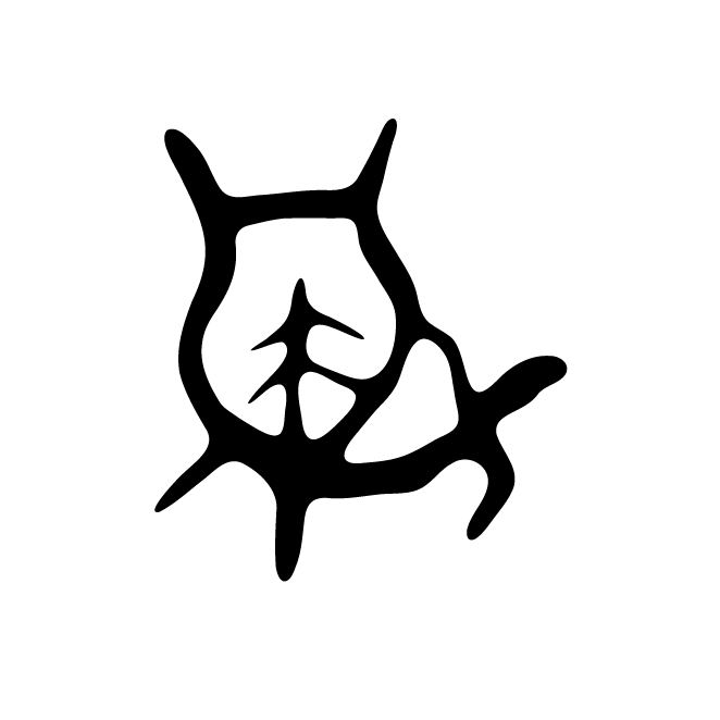 丁再献的骨刻文