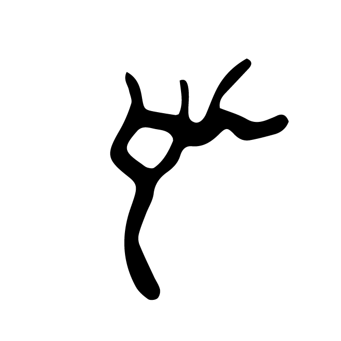 丁再献的骨刻文