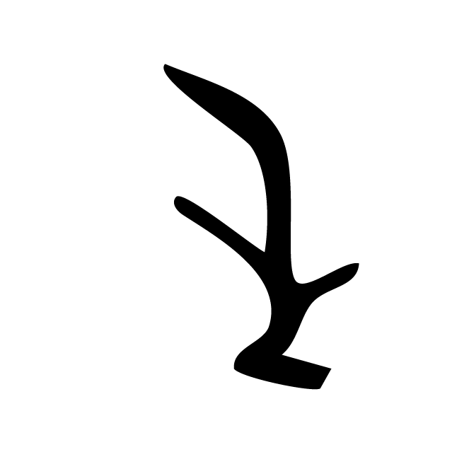 丁再献的骨刻文