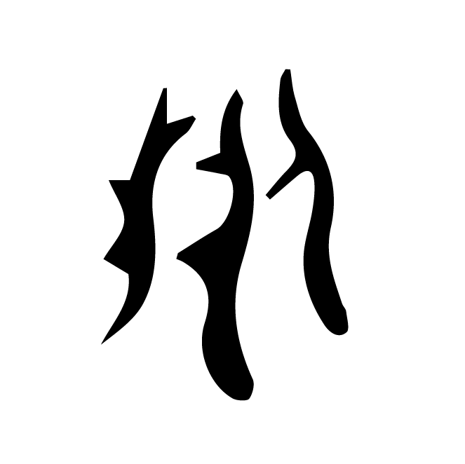 丁再献的骨刻文