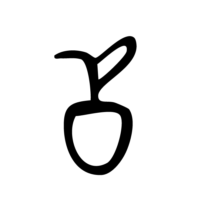 丁再献的骨刻文