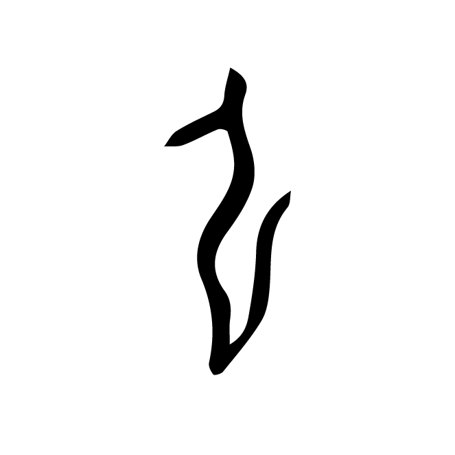 丁再献的骨刻文