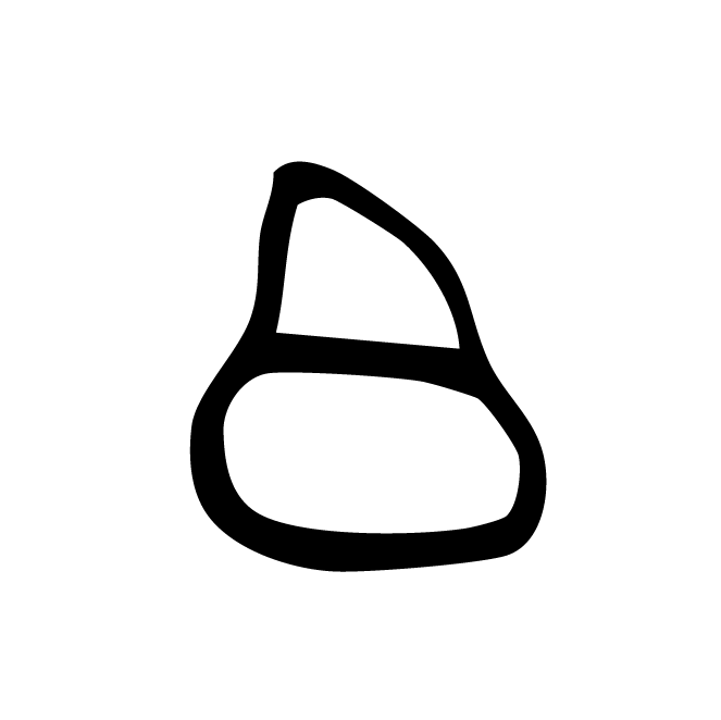丁再献的骨刻文