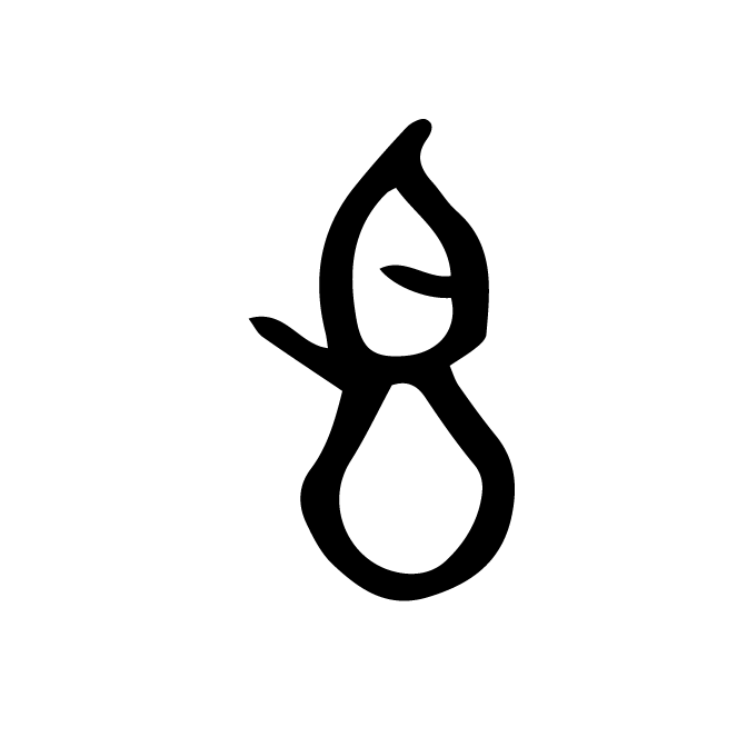 丁再献的骨刻文