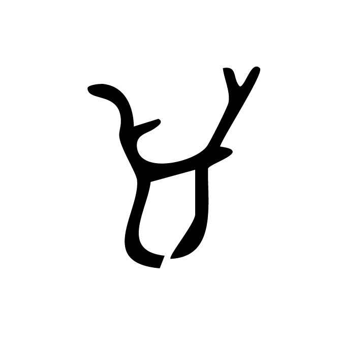 丁再献的骨刻文
