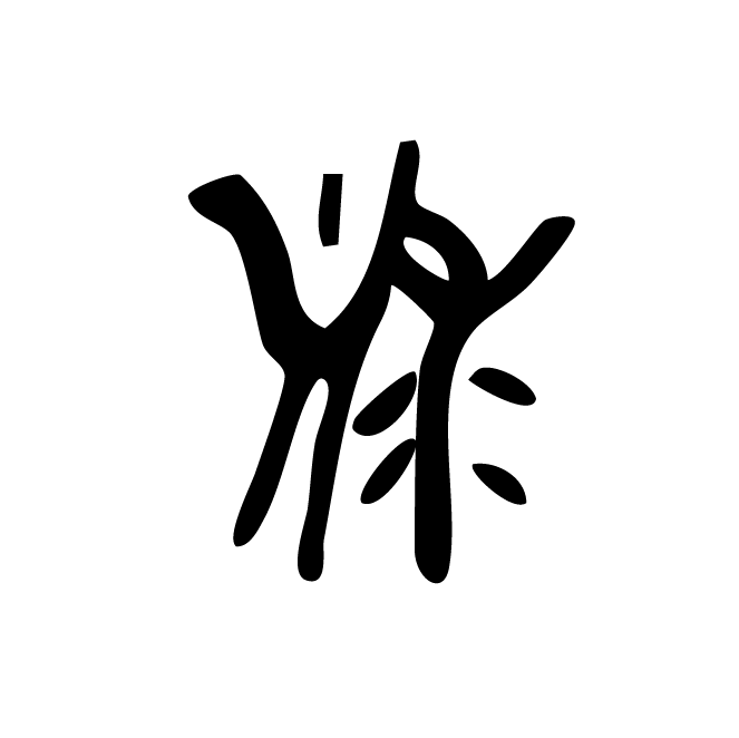 丁再献的骨刻文
