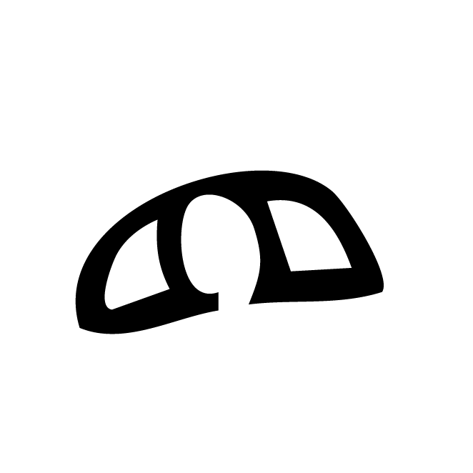 丁再献的骨刻文