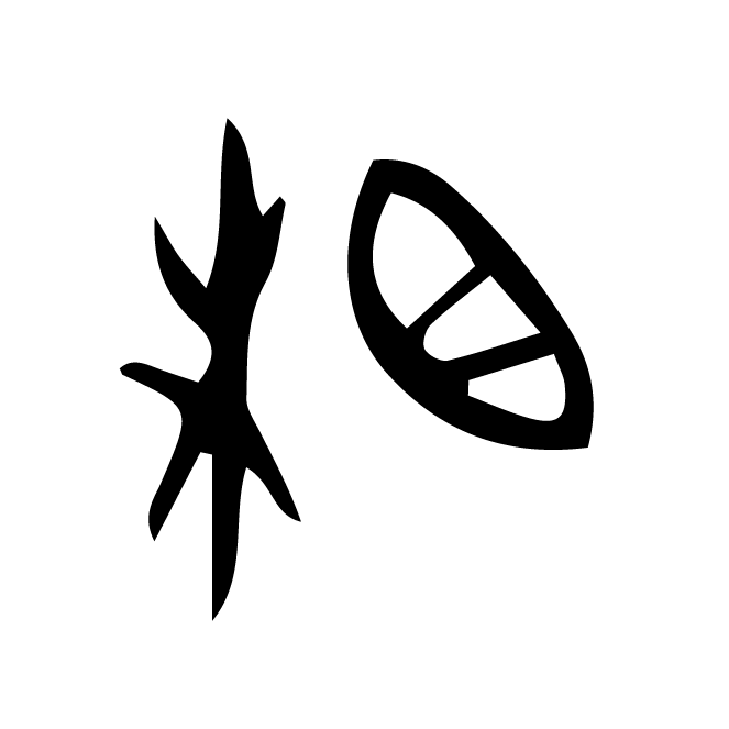 丁再献的骨刻文