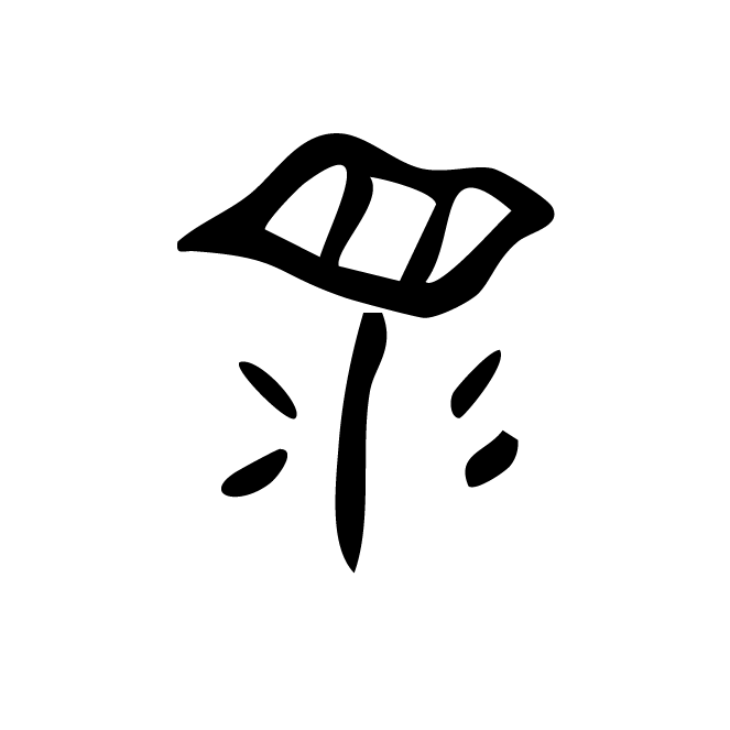 丁再献的骨刻文