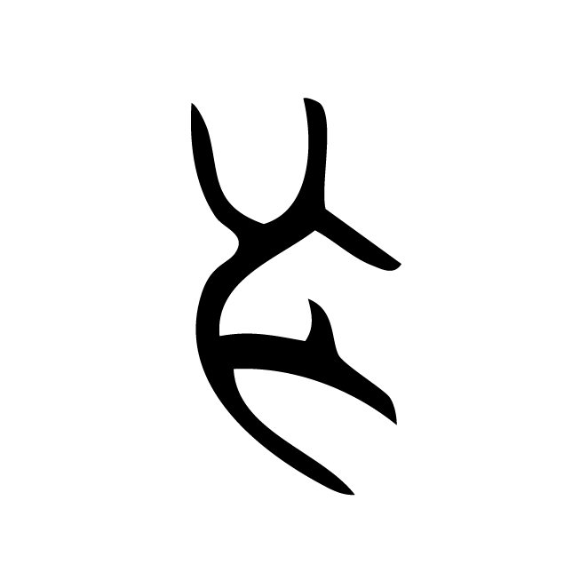 丁再献的骨刻文