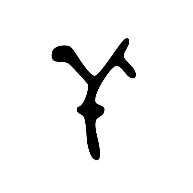 丁再献的骨刻文