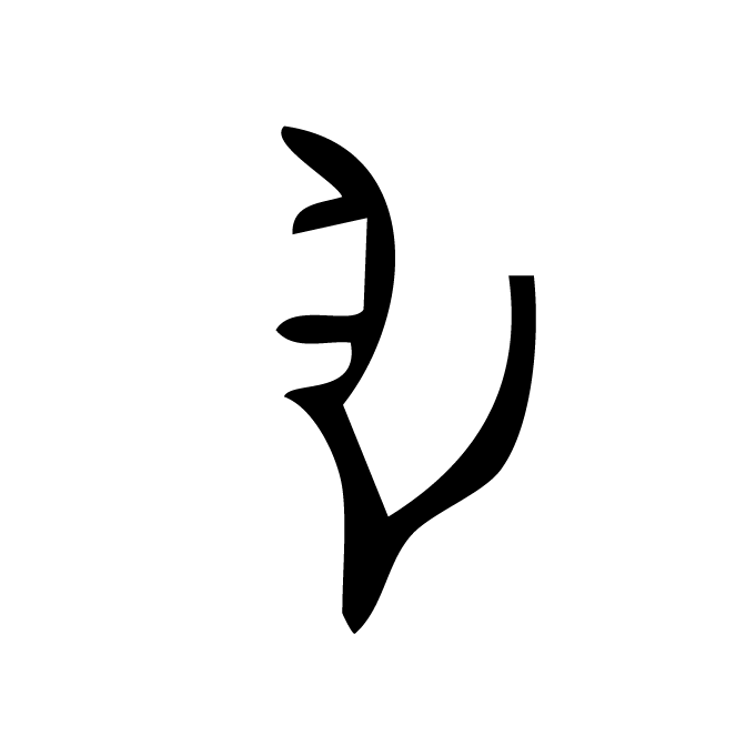 丁再献的骨刻文
