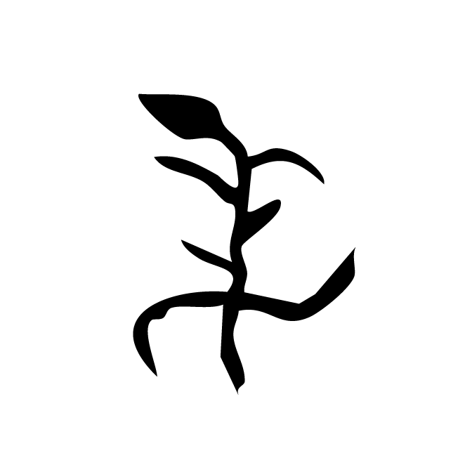 丁再献的骨刻文