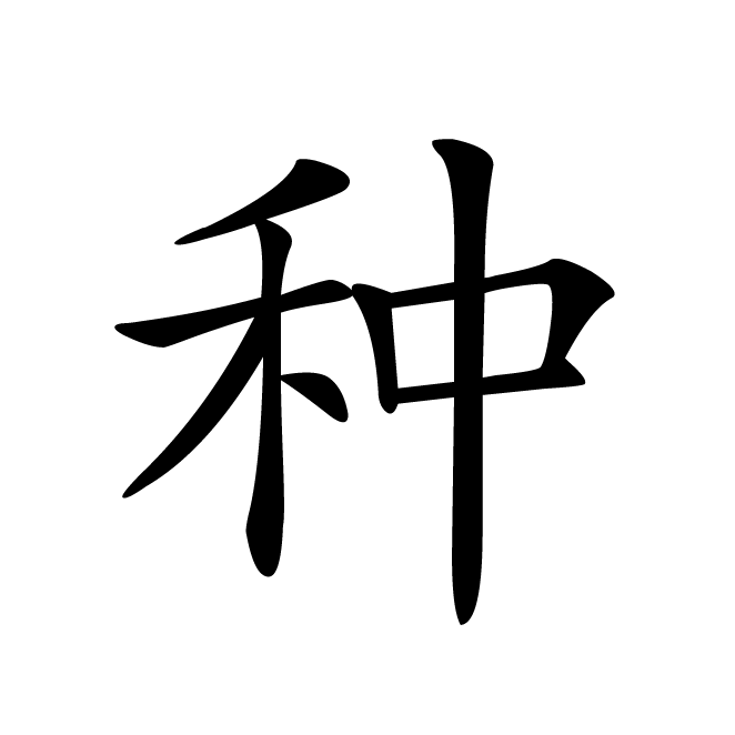 丁再献的楷书