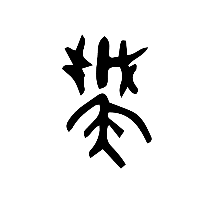 丁再献的骨刻文