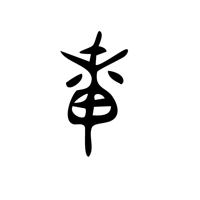 丁再献的骨刻文