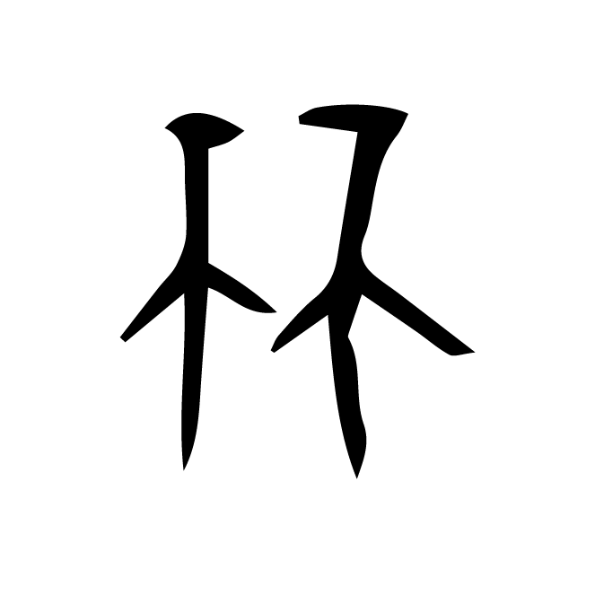 丁再献的骨刻文