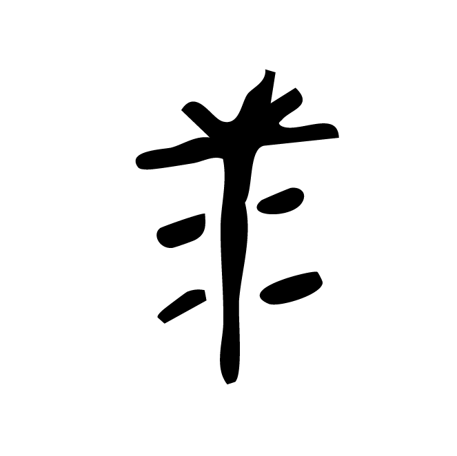 丁再献的骨刻文
