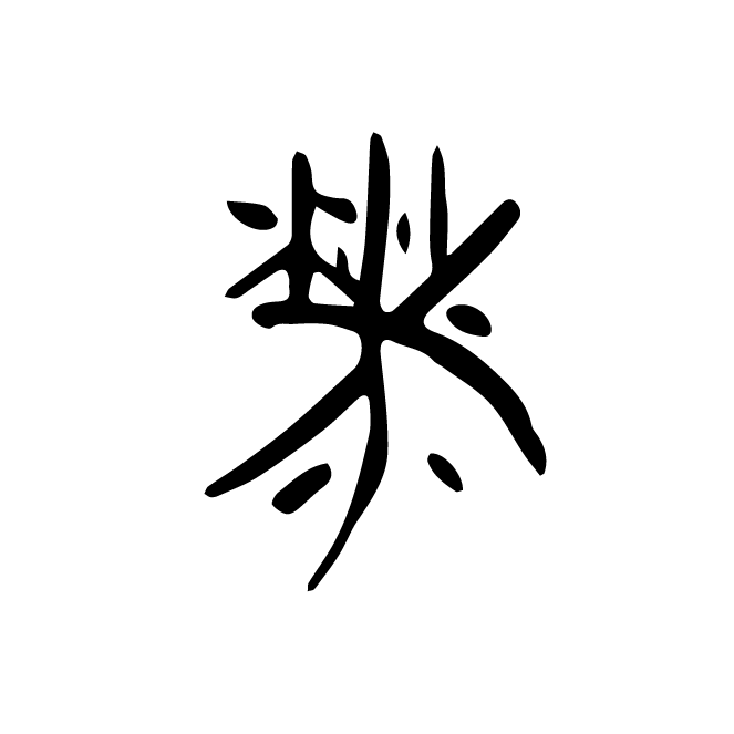 丁再献的骨刻文