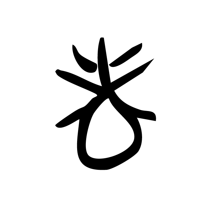 丁再献的骨刻文