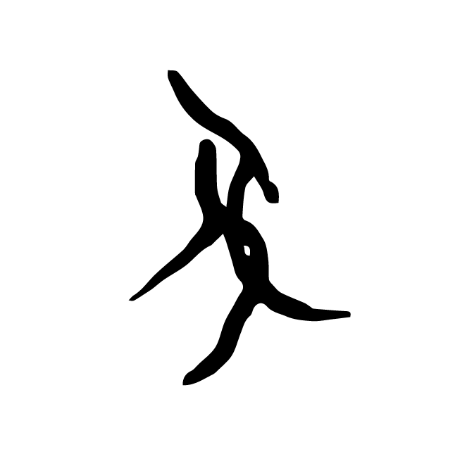 丁再献的骨刻文