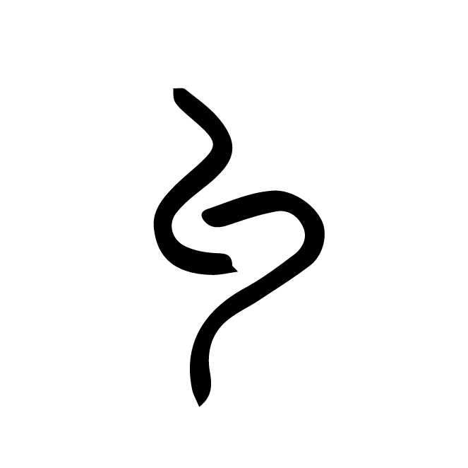 丁再献的骨刻文