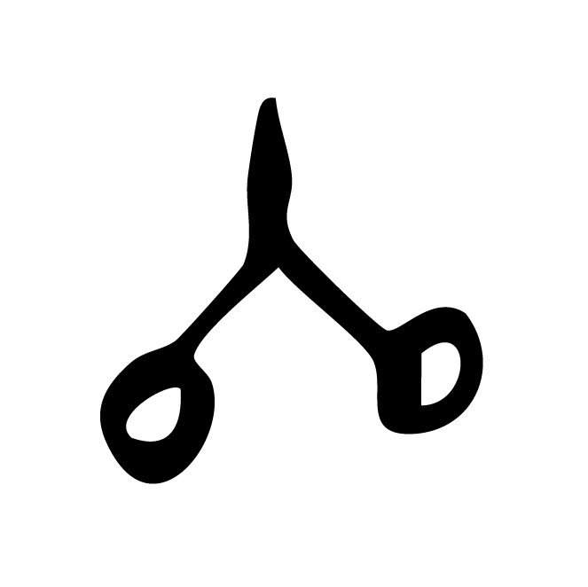 丁再献的骨刻文